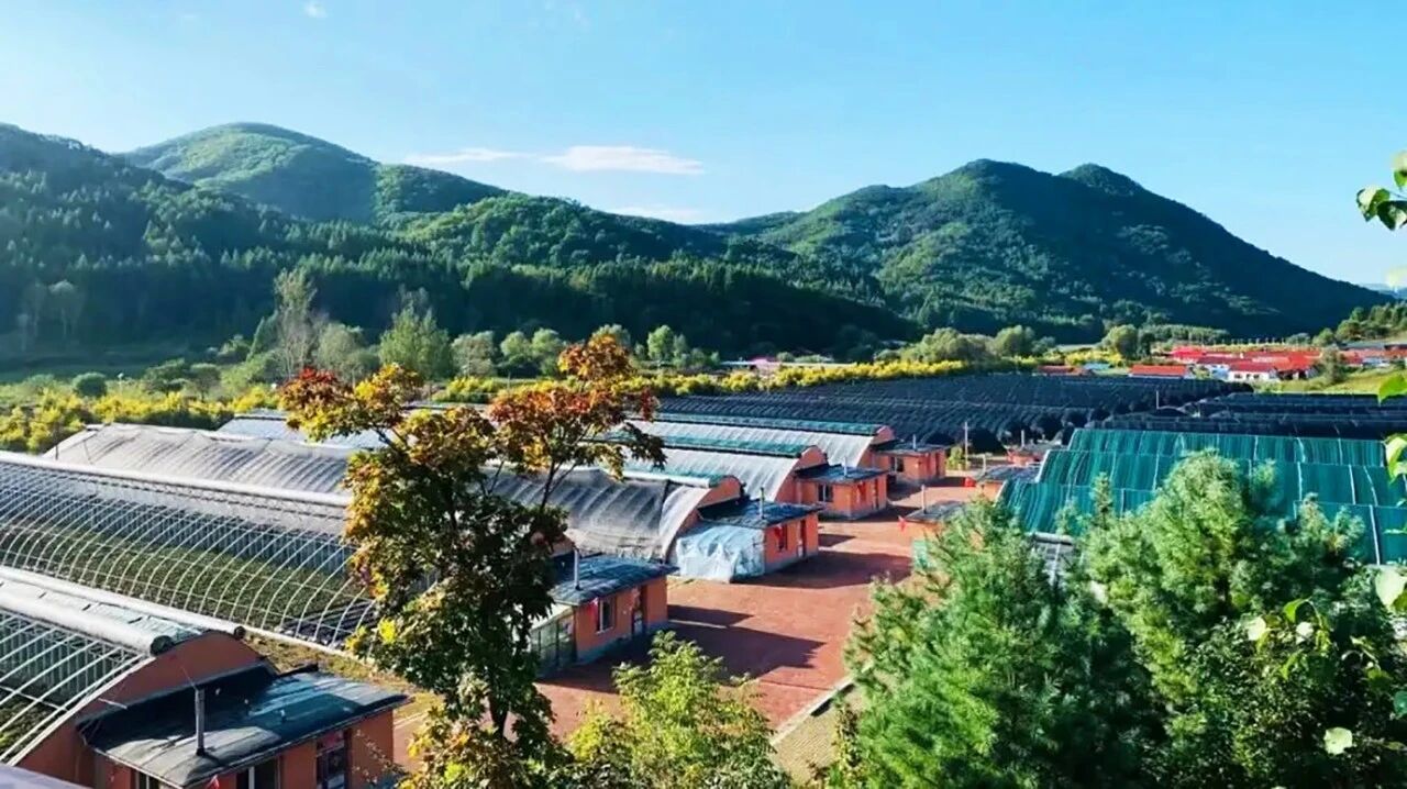 參藥寶地 繁榮東昌 | 吉林通化東昌區(qū)招商引資推介