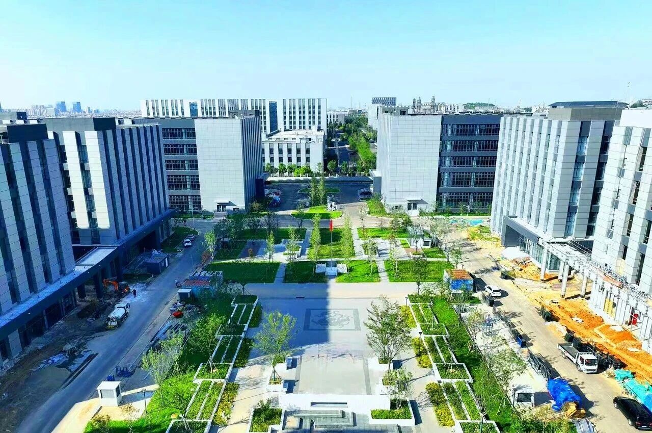 2604282.jpg