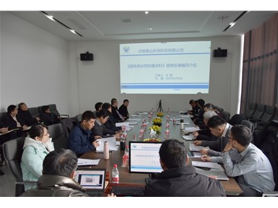 中國鋼鐵工業協會兩項團體標準審定會在河南永城青山環保產業園圓滿召開